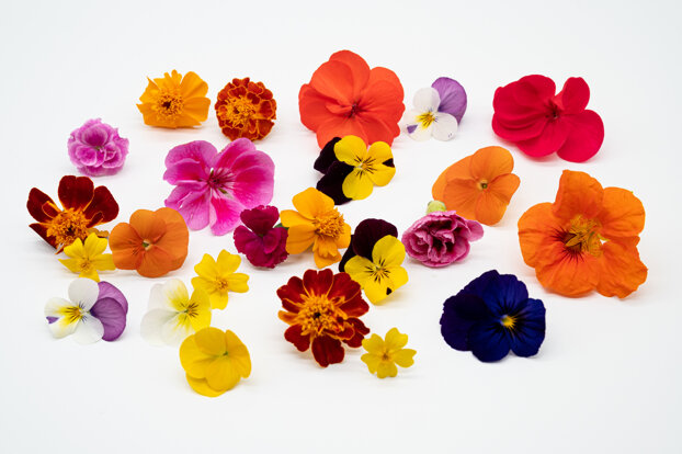 fiori eduli .jpeg